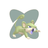 Rattata