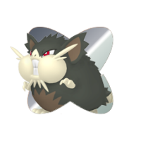 Rattatac d'Alola Rattatac d'Alola