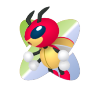 Coxyclaque Coxyclaque