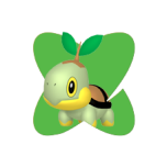 Tortipouss Tortipouss