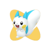 Pachirisu Pachirisu