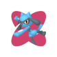 Riolu Riolu