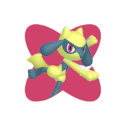 Riolu Shiny Riolu Shiny