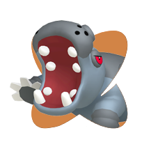 Hippodocus Hippodocus