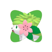 Shaymin Shaymin
