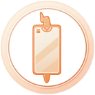 Médaille Kanto Bronze Médaille Kanto Bronze