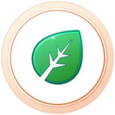 Médaille Kanto Bronze Médaille Kanto Bronze