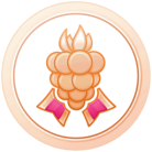 Médaille Kanto Bronze Médaille Kanto Bronze