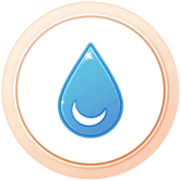 Médaille Kanto Bronze Médaille Kanto Bronze