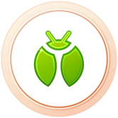 Médaille Kanto Bronze Médaille Kanto Bronze