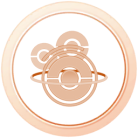 Médaille Kanto Bronze Médaille Kanto Bronze